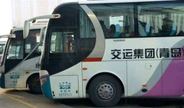 汽车站商务车和小客车区别（汽车站商务车安全吗）