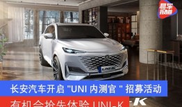汽车体验官商务一般多少钱（汽车体验官招募）