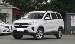 国产五菱汽车7座商务车（国产五菱汽车7座商务车价格）