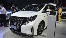 传祺汽车四座商务车（传祺汽车四座商务车图片）