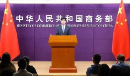国家商务部汽车协会会长（国家商务部汽车协会会长名单）
