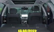 汽车麋鹿测试前十名商务车（2020汽车麋鹿测试排行表）