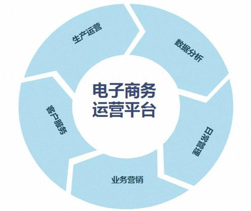 专业电子商务是指什么
