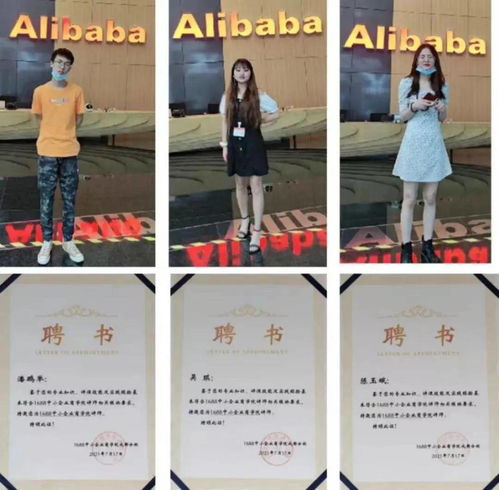 河北单招电子商务专业题