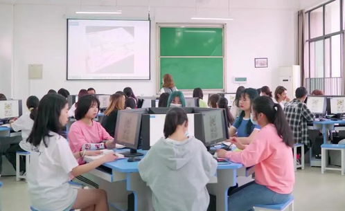 港城电子商务专业课程