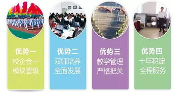 吉林省电子商务专业分类