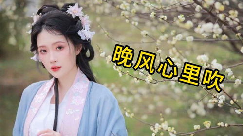 北大毕业礼上的一曲粤语歌——晚风心里吹
