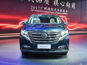 传奇汽车商务gm8最低价位（传奇gm8商务车7座图片及报价）