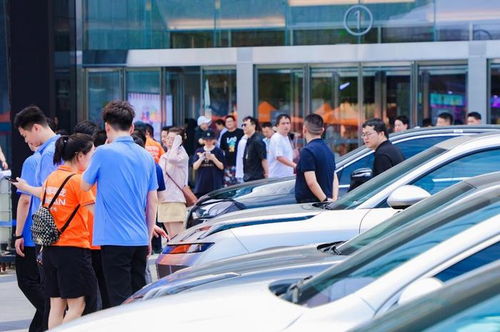 商务部汽车以旧换新货车可以吗（商务车可以改成货运吗）