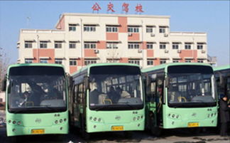 汽车站里的小型商务车（汽车站大型商务车）