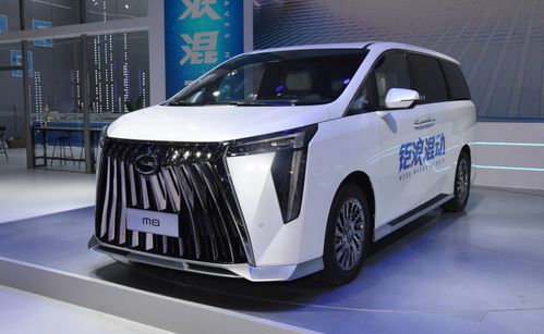 红旗汽车商务车m8图片（红旗商务车mpv价格）