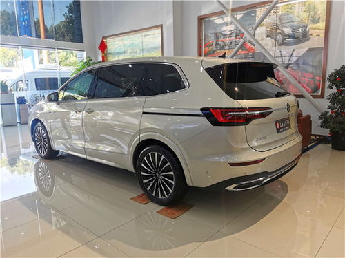 大众汽车商务车威然图片（大众商务车7座最新款威然图片价格）