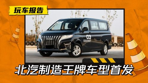 王牌汽车商务车多少钱（王牌车型）